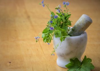 natural medicine, herbs from the meadow, nature