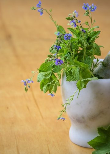 natural medicine, herbs from the meadow, nature