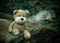 teddy bear, toy, plush