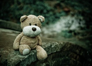 teddy bear, toy, plush