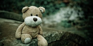 teddy bear, toy, plush