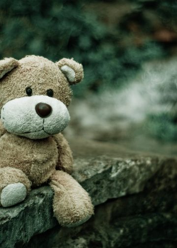 teddy bear, toy, plush