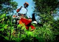 garden, grass cutter, gardening