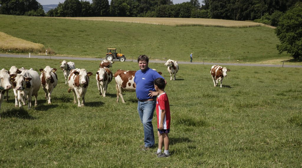 The Role of Family Traditions in a Modern World