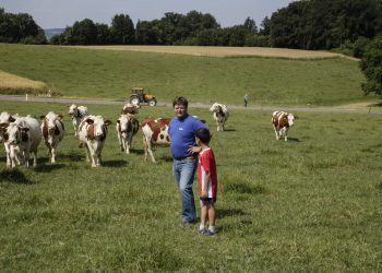 The Role of Family Traditions in a Modern World