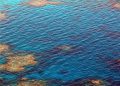 great barrier reef, dive, diving