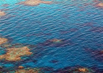 great barrier reef, dive, diving