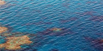 great barrier reef, dive, diving
