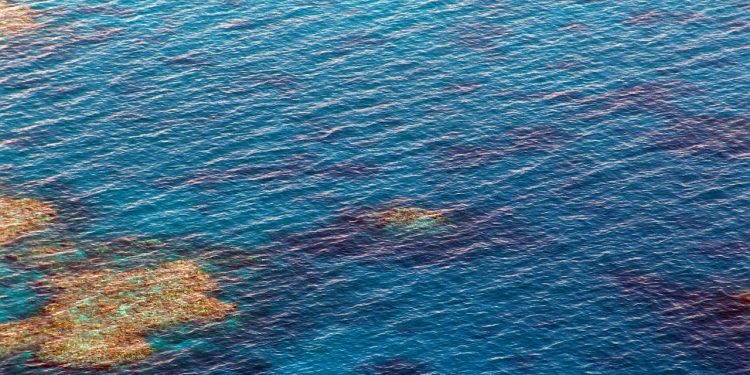 great barrier reef, dive, diving