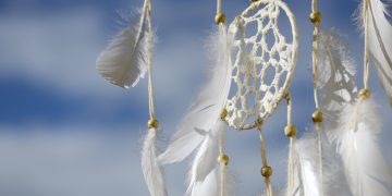dreamcatcher, feathers, dreams