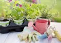 planting, spring, herbs