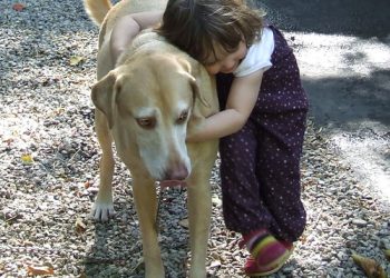 Raising Kids with Strong Emotional Intelligence: Nurturing Empathy, Resilience, and Self-Awareness