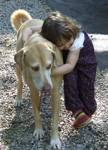 Raising Kids with Strong Emotional Intelligence: Nurturing Empathy, Resilience, and Self-Awareness