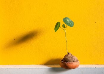 ceramic, earth pot, clay pot