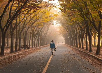 road, pavement, woman