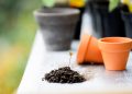 plants, soil, pots
