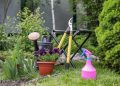 gardening, backyard, gardening tools