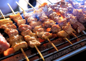 barbecue, bbq, meat skewers